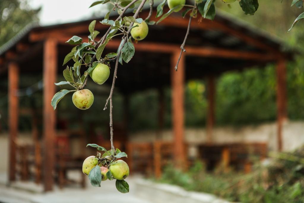 Guest House Dilijan Orran 외부 사진